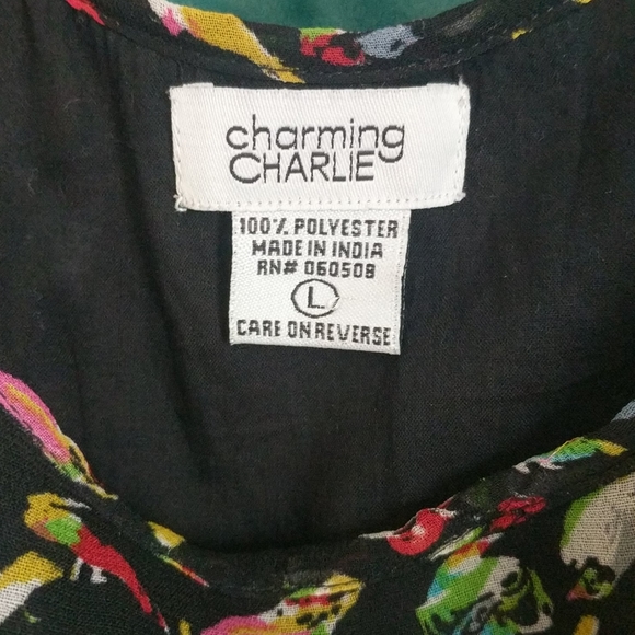 Charming Charlie Asymmetrical Bird Pattern Dress - Picture 3 of 4